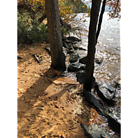 King tide Williamsburg in James city County image